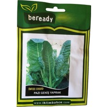 Beready Pazı Tohumu 1 Paket