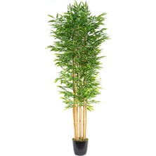 Nettenevime Yapay Bambu Ağacı 210 cm Siyah Saksılı 7 Dallı