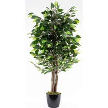 Nettenevime Yapay Ağaç Benjamin Yeşil 2 Gövdeli 110 x 70 cm Siyah Plastik Saksılı