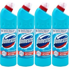 Domestos Çamaşır Suyu 750 ml Okaliptüs Ferahlığı (4'lü Eko Paketi)