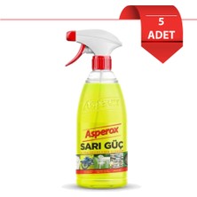 Asperox Sarı Güç Sprey 1 Lt x 5 Adet