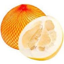 Yalova Tropikal Pomelo