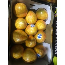 Yalova Tropikal Pomelo