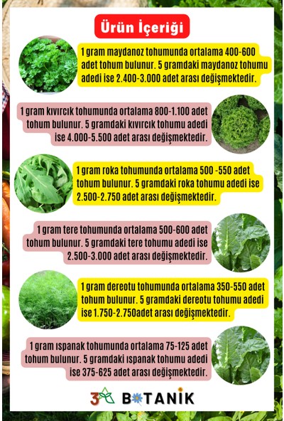3A Botanik Mega Yeşillik Tohum Seti - 1, Toplam 30 GRAM/13.500 Adet Yeşillik Tohumu