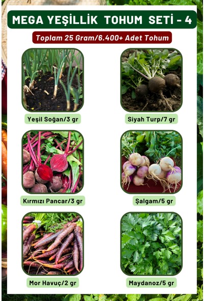 3A Botanik Mega Yeşillik Tohum Seti - 4, Toplam 25 GRAM/6.400 Adet Yeşillik Tohumu