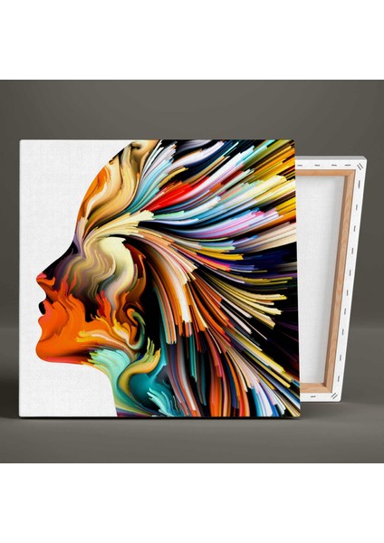 Rengarenk Abstract Kadın Makyaj Soyut Modern Sanat Dekoratif Woman Kanvas Tablo fiyatları