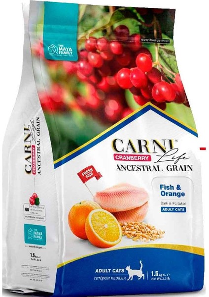 Life Kedi Maması 5 kg Balık Portakal Kızılcık