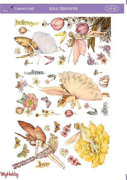 Peri Dream Believeshine Desenli Sulu Transfer Lnt-62 25X35