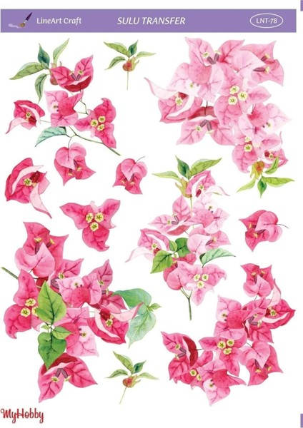 Begonvil Pembe Çiçek Desenli Sulu Transfer Lnt-78 25X35
