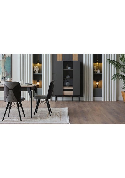 Lucida 6320 Sandalye 2 Adet Siyah fiyatları