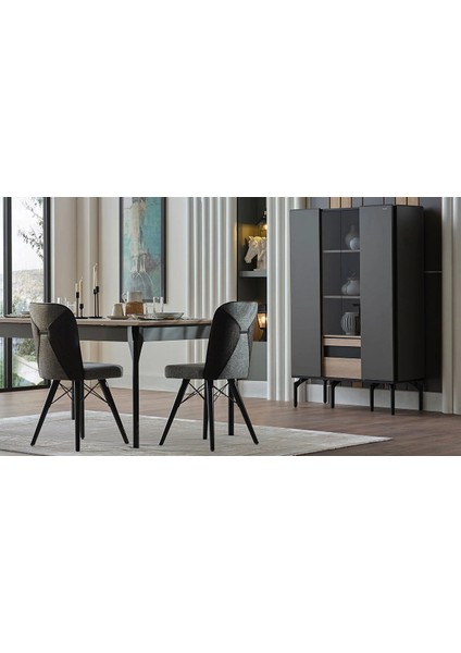 Lucida 6320 Sandalye 2 Adet Siyah modelleri