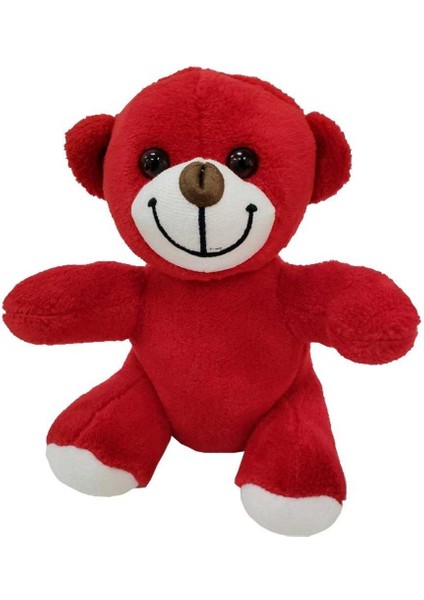 Peluş Oyuncak Ayı