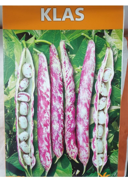 Oturak Barbunya Tohumu 1 kg