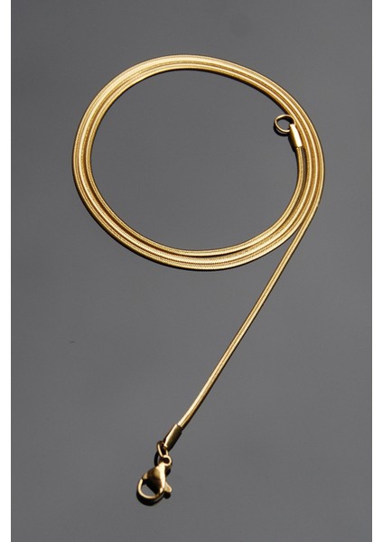 Çelik Italyan Yassı Yılan Kolye 1 Mm Altın Renk | Kararmaz , Unisex , 2 Yıl Garantili