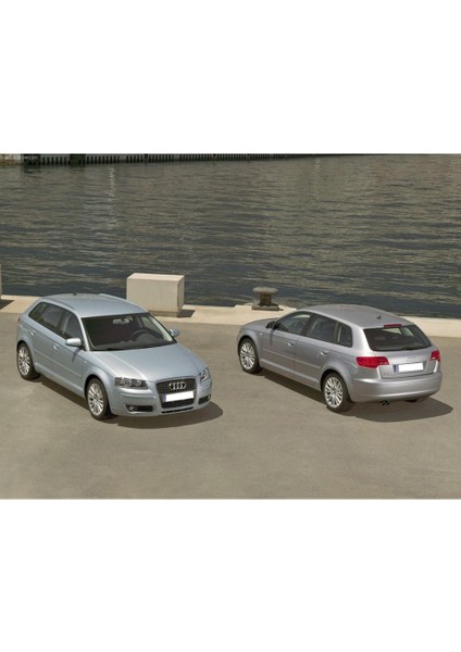 Audi A3 Sportback 2004-2008 Arka Bagaj Kapağı Amortisörü Pistonu 8P4827552B