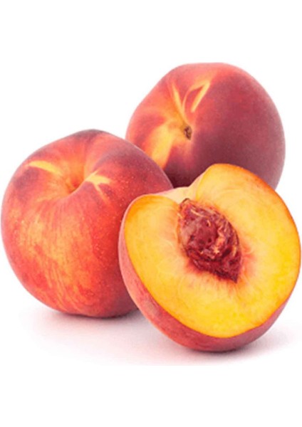 - 3 Adet Şeftali Fidanı (Farklı Çeşitlerden/ 2 Yaş/açık Kök)