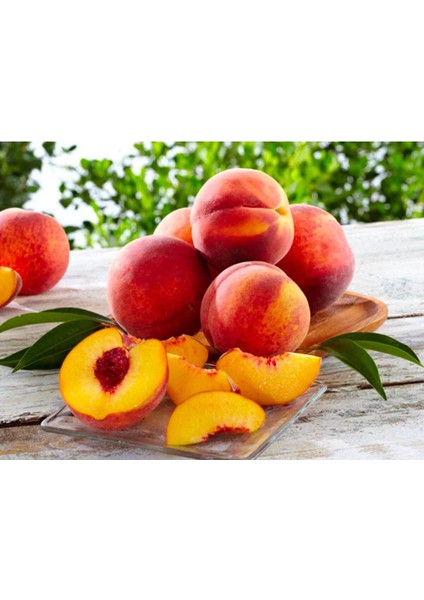 - 3 Adet Şeftali Fidanı (Farklı Çeşitlerden/ 2 Yaş/açık Kök) fırsatları