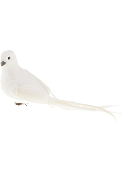 Uzun Kuyruk Kuşları Düğün Dekor Mekan Süsü Beyaz Güvercin A (Yurt Dışından)