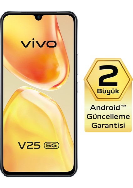 V25 256 GB 8 GB RAM (vivo Türkiye Garantili) Gün Doğumu Işıltısı