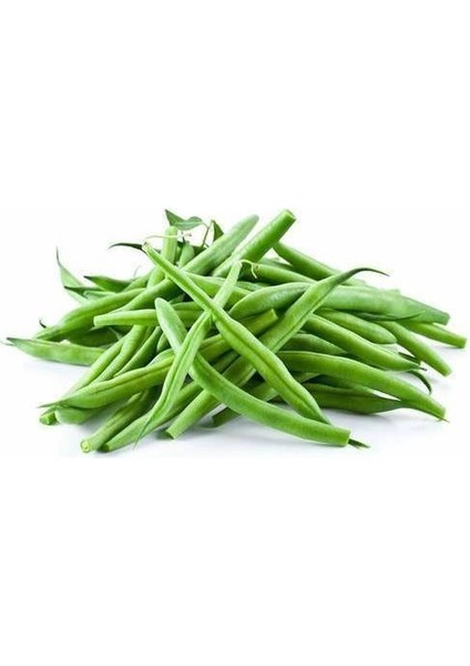 Alman Ayşe Fasulye Tohumu 500 gr Arzuman fiyatları