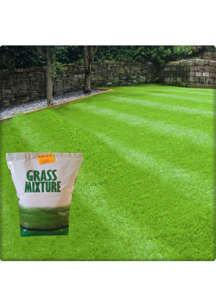 Grass Mixture Çim Tohumu 6lı Karışım  (10 Kg)