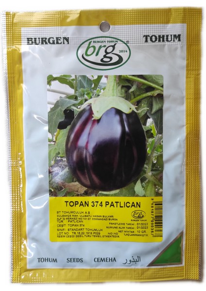 Topan 374 Patlıcan Tohumu 10 gr Bt