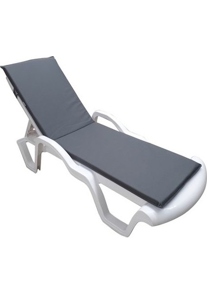 Delta Şezlong Minderi 4 Adet Gri
