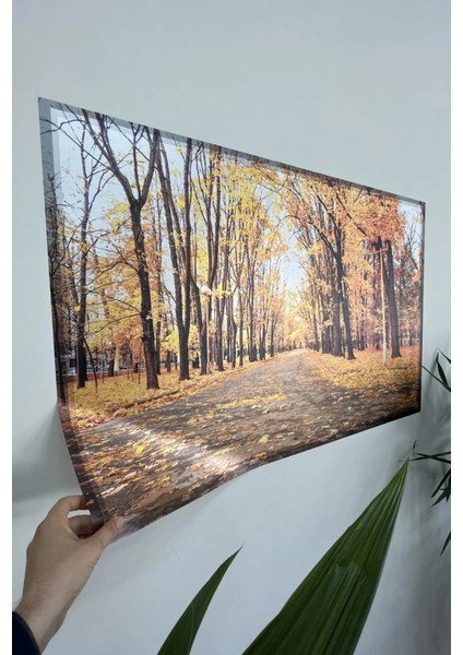 Statik Tutunma Özellikli Tablo Son Bahar 70 - 46 cm