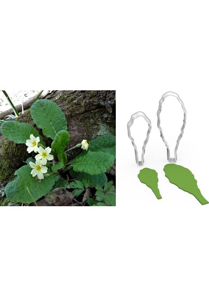 Çuhaçiçeği Yaprak Kesici Set 2’li – 6cm