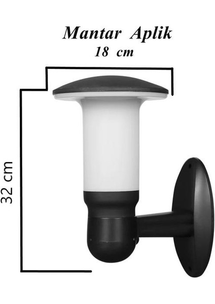 Zita Bahçe Duvar Aplik Mantar Siyah Dış Mekan Aydınlatma IP54