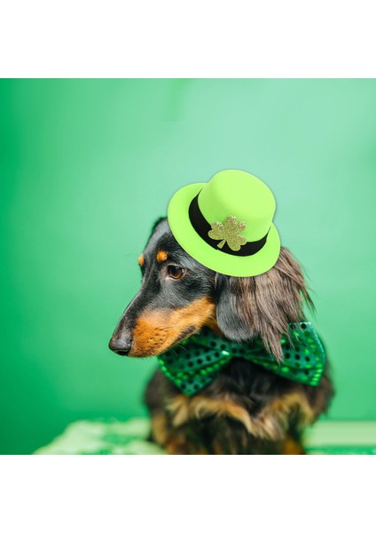 Şapka Şeklindeki Saç Klibi Gün Barrettes Kızlar Dekoratif Gençler Shamrock Açık Yeşil (Yurt Dışından)