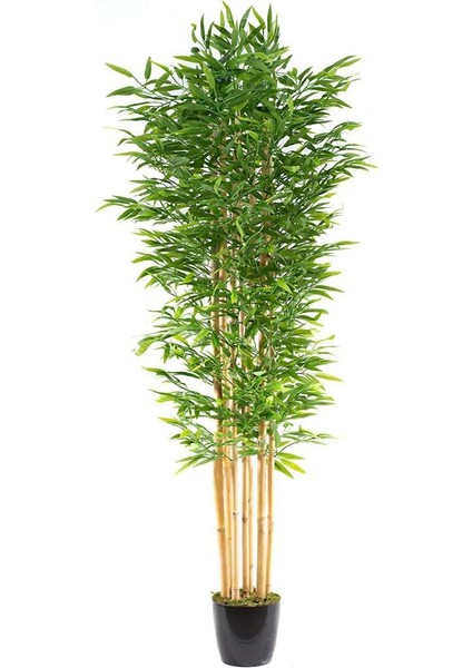Yapay Bambu Ağacı 210 cm Siyah Saksılı 7 Dallı