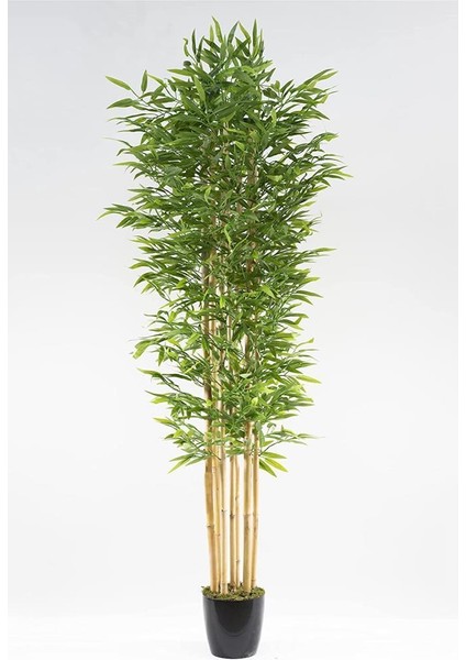 Yapay Bambu Ağacı 210 cm Siyah Saksılı 7 Dallı