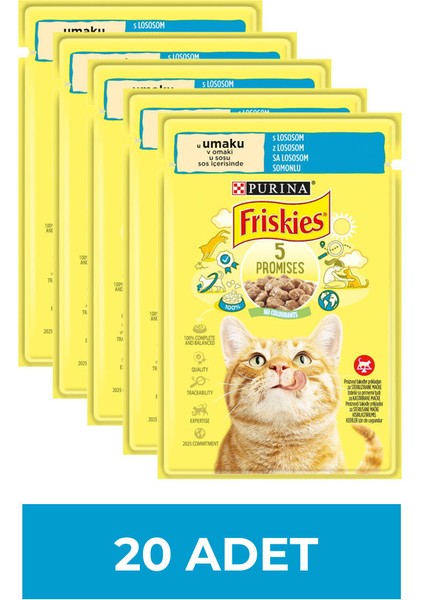 Somonlu Soslu Yaş Kedi Maması 85 gr x 20 Adet