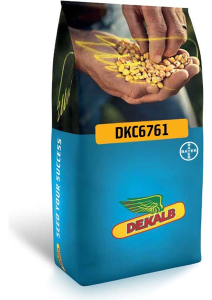 Dekalb 6980TANELİK Mısır Tohumu 50000 Adet standart ilaçlı