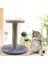 Kedi Oyuncağı Tırmalama Tahtası (Yurt Dışından) 2