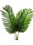 Tropical Hawaii Palmiye Yaprağı Şeklinde Tropik Yeşil Renk Plastik Yaprak 5 Adet 35 cm 1