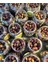 Yağlı Çizik Zeytin 1 kg 2