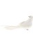 Uzun Kuyruk Kuşları Düğün Dekor Mekan Süsü Beyaz Güvercin A (Yurt Dışından) 3