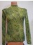 Body 1