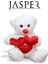 Toys Oyun Arkadaşım 30 cm Peluş Kalpli Ayıcık 1