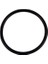 42*3 O-Ring 1