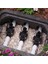 100-Hvbsp9v Solenoid Vana 1 Inç 9v. 4 Adet 3