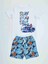 Surf Erkek Çocuk T-Shirt Şort Takım 3