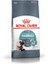 Hairball Adult 2 kg Kuru Kedi Maması Tüy Yumağı Oluşum Engelleyici Mama 1