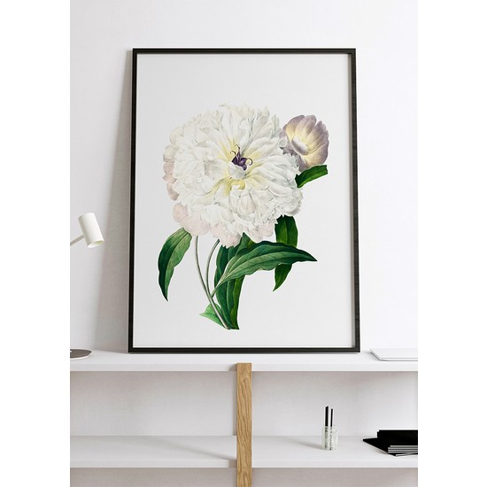 Art House Collective Botanik Poster Şakayık Pierre J.r Fiyatı