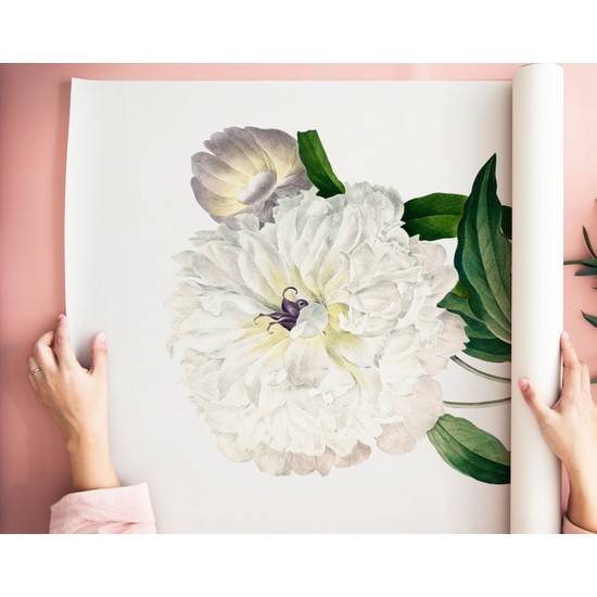 Art House Collective Botanik Poster Şakayık Pierre J.r Fiyatı