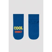 Penti Çok Renkli Erkek Çocuk Dinozor Desenli 4lü Patik Çorap