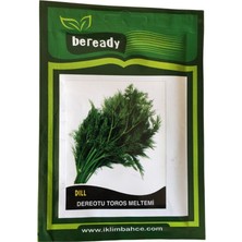 Beready Dereotu Tohumu1 Paket