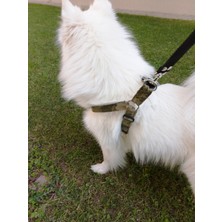 Balkonda Köpek göğüs tasması kamuflaj kumaş haki renk orta ve büyük ırk genişlik:3cm göğüs ölçüsü:55-95cm ayarlamalı dog harness GT4-7